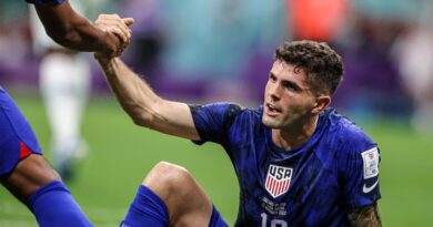 pulisic-usa